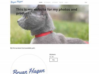 bryanhagan.weebly.com snapshot