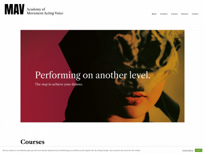 mav.academy snapshot