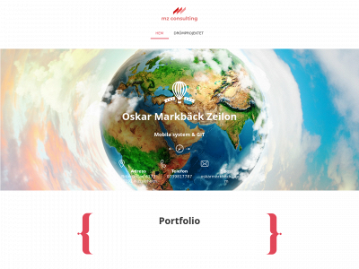 mzconsulting.online snapshot