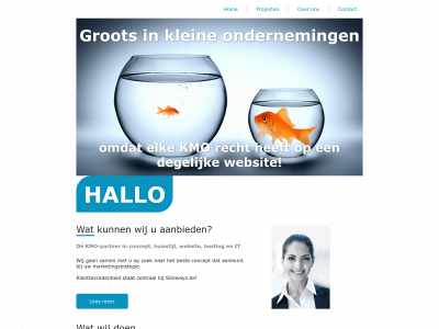 siteways.be snapshot