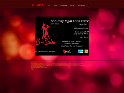 b-salsa.be snapshot