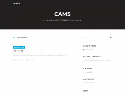 camssurveyors.com snapshot