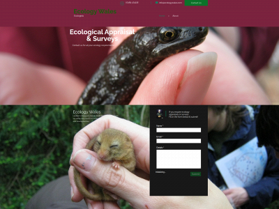 ecologywales.com snapshot