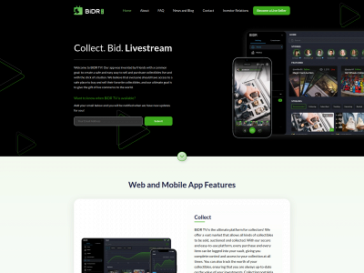 bidrtv.com snapshot