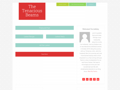 thetenaciousbeams.com snapshot