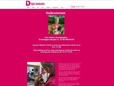 dyhrshundesalon.dk snapshot