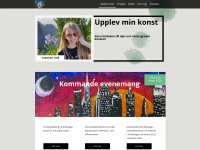 camlindart.se snapshot