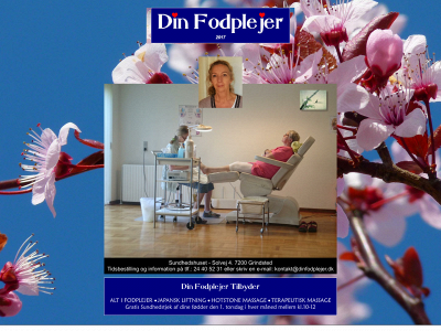 dinfodplejer.dk snapshot
