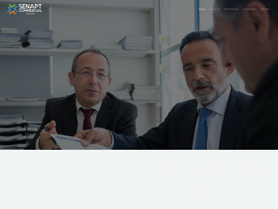 sencombrokers.ae snapshot