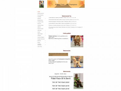 fidel-puddel.net snapshot