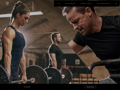 beetlestrength.com snapshot