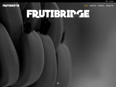 grupoguerrerocr.com snapshot