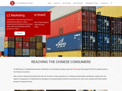 lzmarketinggroup.com snapshot