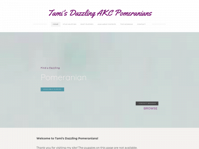 tamisdazzlingakcpomeranians.com snapshot