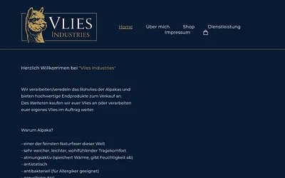 vliesindustries.de snapshot