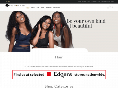thesanhair.co.za snapshot