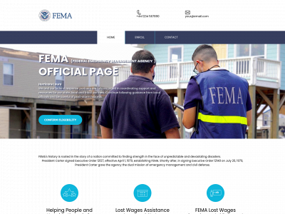femagov.info snapshot