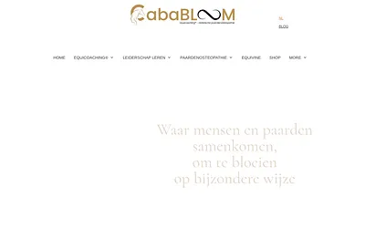 cababloom.be snapshot