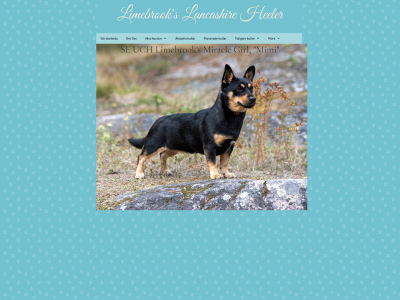 limebrooks.se snapshot
