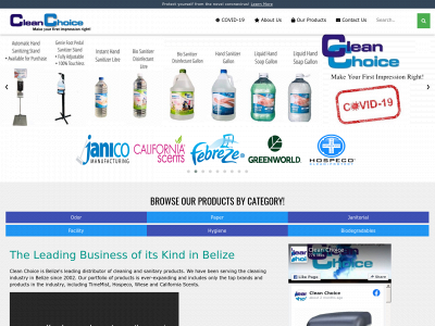 cleanchoicebelize.com snapshot