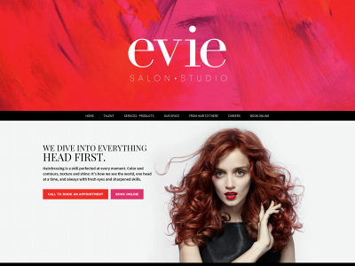 eviesalonstudio.com snapshot