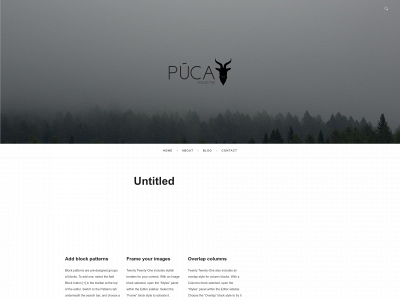 pucacollective.com snapshot
