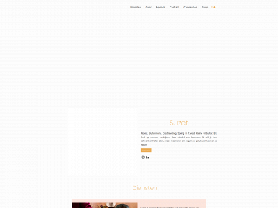 metsuzet.nl snapshot
