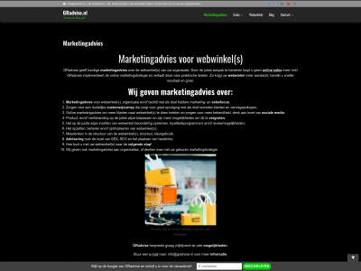 gradvise.nl snapshot