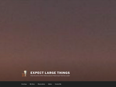 expectlargethings.com snapshot