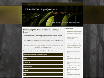followtheteachingsofjesus.com snapshot