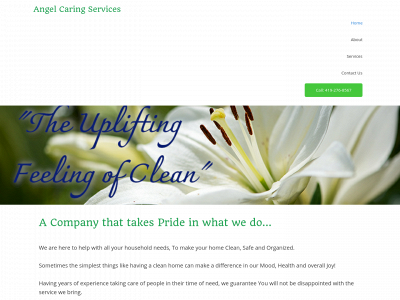 angelcaringservices.com snapshot