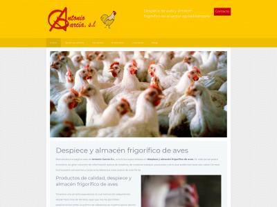 www.antoniogarciasl.com snapshot