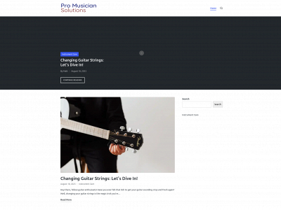 promusiciansolutions.com snapshot