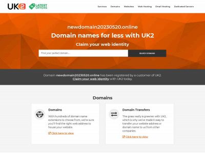 newdomain20230520.online snapshot