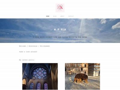mfela.weebly.com snapshot