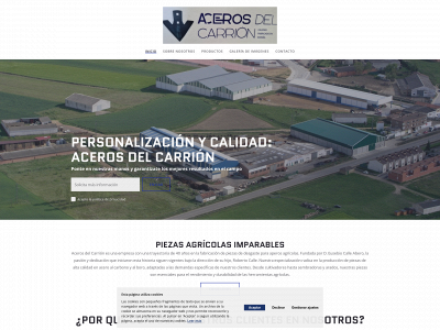 acerosdelcarrion.es snapshot