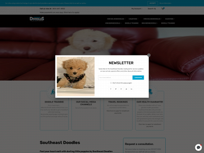 southeastdoodles.com snapshot