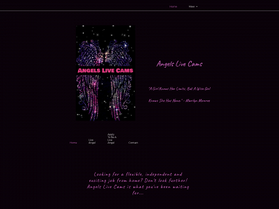 angelslivecams.com snapshot
