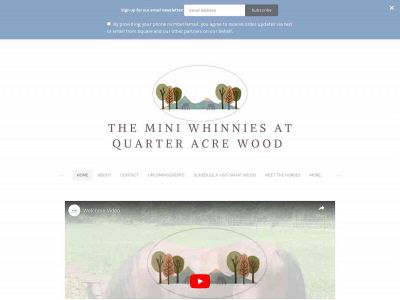 mini-w-horsemanship.weebly.com snapshot