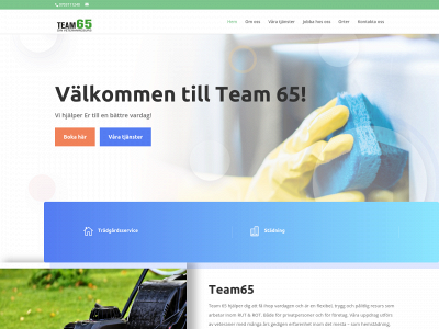 team65.se snapshot