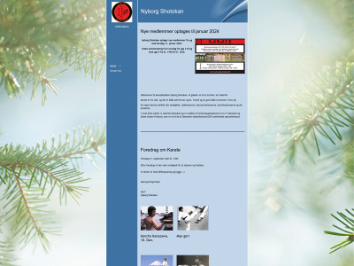 nyborgshotokan.dk snapshot