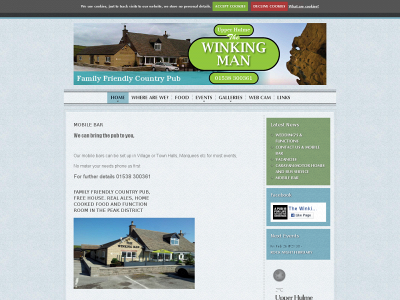 winkingman.co.uk snapshot