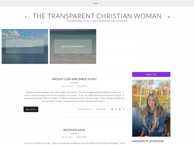thetransparentchristian.com snapshot