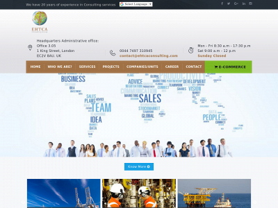 ehtcaconsulting.com snapshot