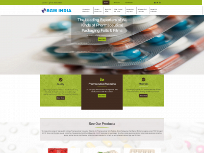 sgmindia.biz snapshot