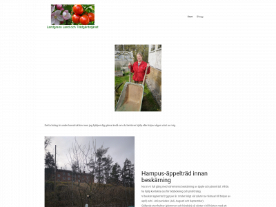 lalott.se snapshot
