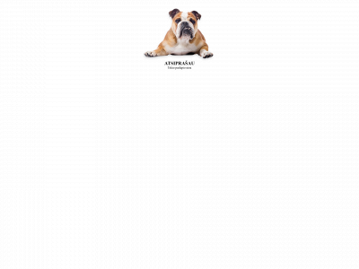 elvija.com snapshot