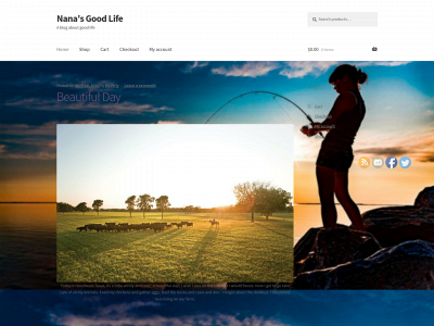 nanasgoodlife.com snapshot