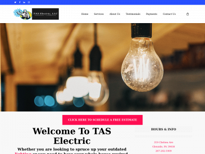 taselectricllc.com snapshot