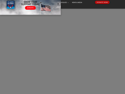 cellphonesforsoldiers.co snapshot